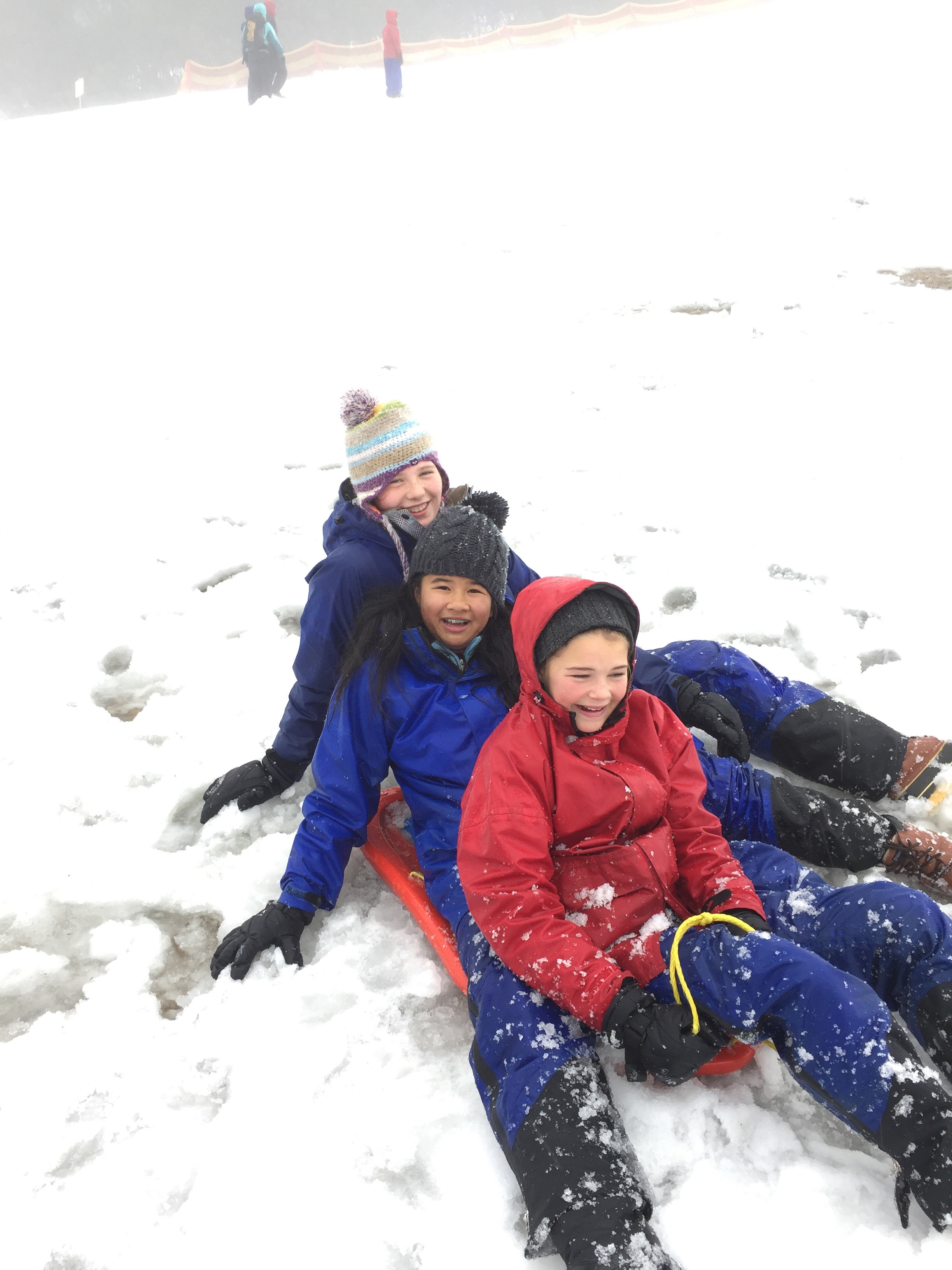 /uploaded_files/media/gallery/1505185508c1505176041IMG_0524 (11).jpg